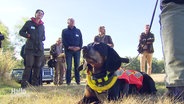 Ein Spürhund liegt vpr einem Halbkreis aus Menschen © Screenshot 