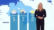 Eine Moderatorin steht vor einer Wetterkarte. © Screenshot 