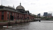 Die Hamburger Fischauktionshalle, aufgenommen von der Elbseite. © Screenshot 