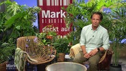 Moderator Jo Hiller im "Markt"-Studio. © Screenshot 