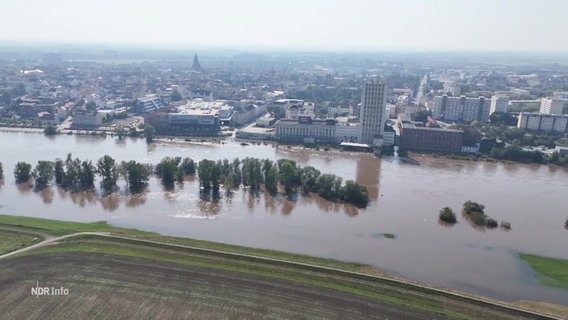 Luftbild von Dresden zeigt das Elbe-Hochwasser. © Screenshot 