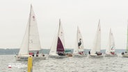 Mehrere Segelschiffe des Vereins "Schülersegeln" fahren auf dem Meer. © Screenshot 