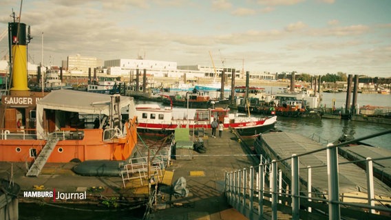 Mehrere Schiffe am Hamburger Hafen. © Screenshot 