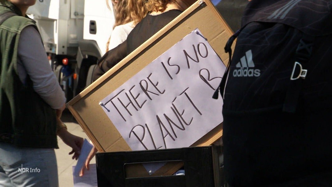 Fridays for Future starten Volksbegehren in Hamburg