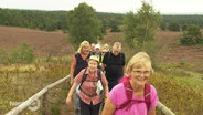 Eine Wandergruppe läuft einen Weg entlang. © Screenshot 