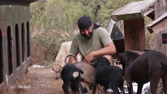 Ein Tierschützer versorgt Straßenhunde in der Türkei. © Screenshot 