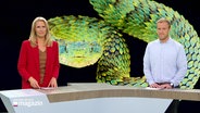 Gabi Lüeße und Henrik Hansens moderieren das Schleswig-Holstein Magazin um 19:30 Uhr. © Screenshot 