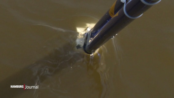 Mit diesem Messgerät soll die Flussgeschwindigkeit der Elbe bei Ebbe und Flut gemessen werden. © Screenshot 