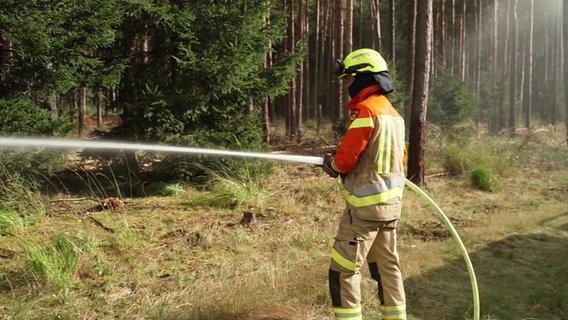 Ein Feuerwehrmann richtet einen Wasserstrahl auf einen Wald. © Screenshot 