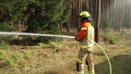 Ein Feuerwehrmann richtet einen Wasserstrahl auf einen Wald. © Screenshot 