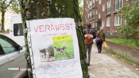 An einem Baum hängt die Vermissten-Anzeige für einen Hund. © Screenshot 