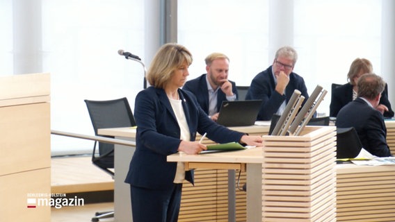 Justizministerin von der Decken spricht vor dem Kieler Landtag. © Screenshot 