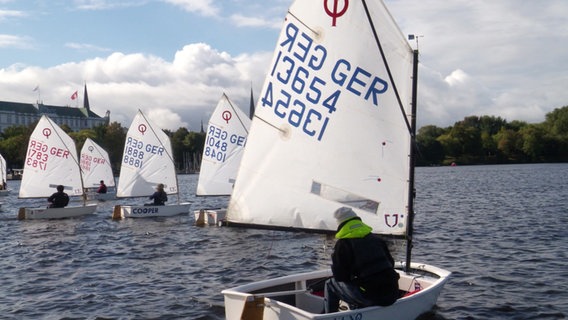 Viele kleine Segelboote auf der Alster. © Screenshot 