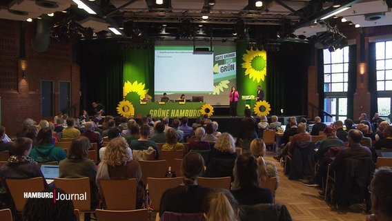 Viele Delegierte sitzen beim Hamburger Landesparteitag der Grünen in einem Saal. © Screenshot 