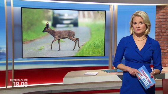 Kathrin Kampmann moderiert die Sendung Niedersachsen 18.00. © Screenshot 