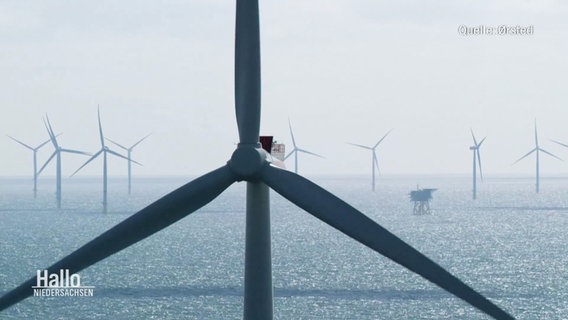 Viele Windräder stehen im Meer. © Screenshot 