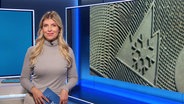 NDR-Info Moderatorin  Bibiana Barth vor einer Bildschirmleinwand. © Screenshot 