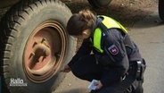 Eine Polizeibeamtin testet den Reifendruck eines Landwirtschaftlichen Fahrzeuges. © Screenshot 