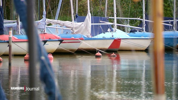 Mehrere Segelboote liegen im Wasser. © Screenshot 