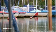 Mehrere Segelboote liegen im Wasser. © Screenshot 