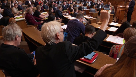 Blick in die Hamburgische Bürgerschaft bei einer Debatte über die Folgen der Klimakrise. © Screenshot 