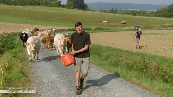 Ein lockt eine Herde Rinder mit einem Futtereimer einen Feldweg entlang. © Screenshot 