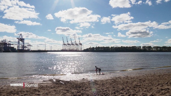 Elbstrand in Hamburg © Screenshot 