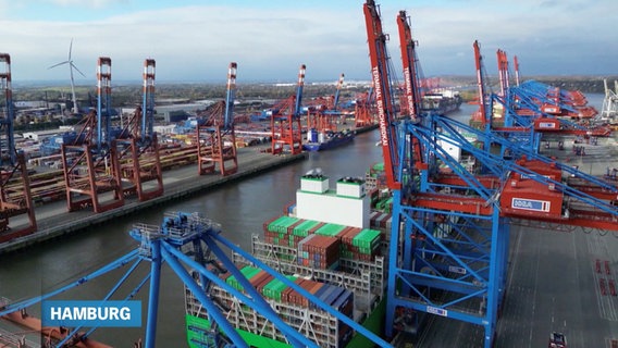 Der Hamburger Hafen. © Screenshot 