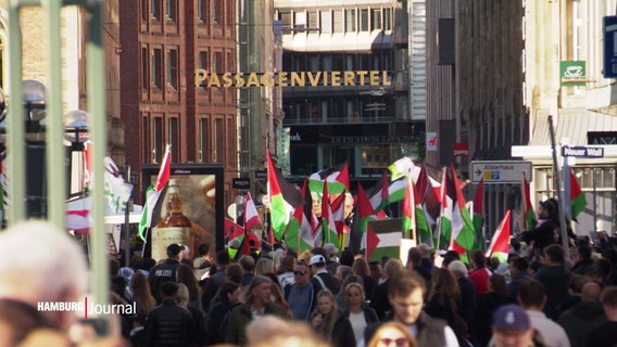 Demonstration in Hamburg mit vielen Menschen, die palästinensische Fahnen schwenken. Im Hintergrund ist das Schild "Passagenviertel" sichtbar. © Screenshot 