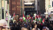 Demonstration in Hamburg mit vielen Menschen, die palästinensische Fahnen schwenken. Im Hintergrund ist das Schild "Passagenviertel" sichtbar. © Screenshot 