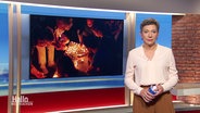 Christina von Saß moderiert Hallo Niedersachsen um 19:30 Uhr. © Screenshot 