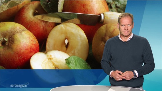 Moderator Thilo Tautz im Studio. © Screenshot 