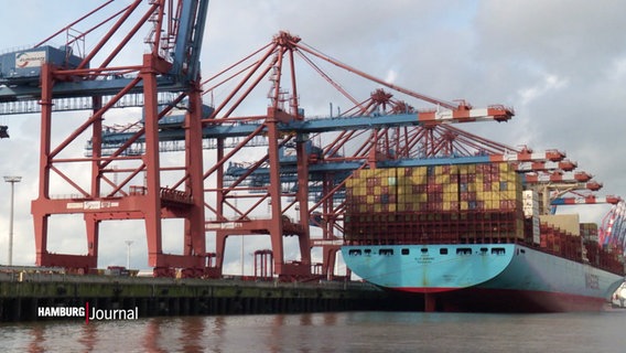 Ein großes Containerschiff im Hamburger Hafen wird beladen. © Screenshot 