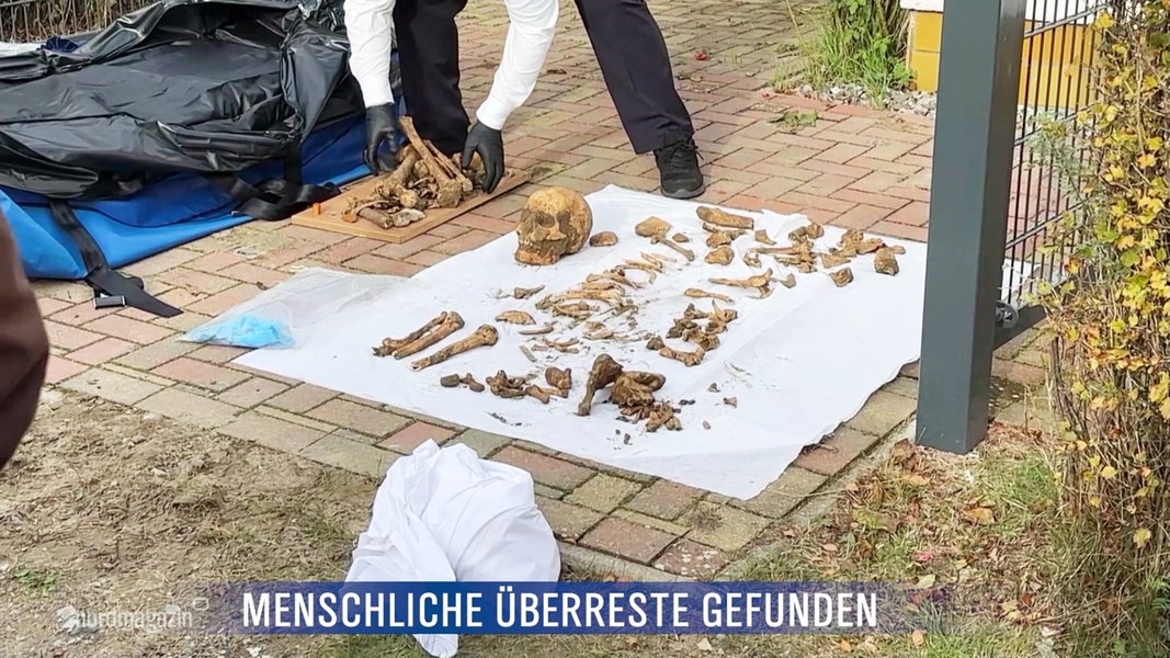 Menschliche Überreste: Arbeiter finden Skelett auf Usedom