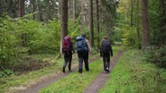 Drei Menschen unterwegs auf einem Wanderweg. © Screenshot 