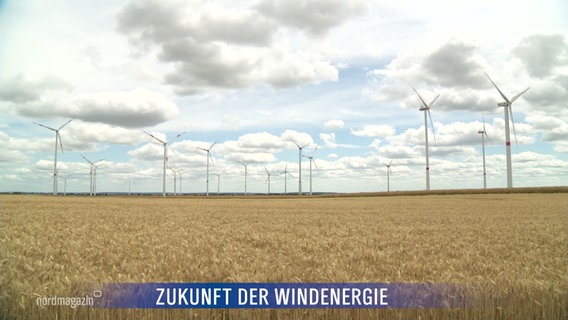 Mehrere Windräder auf einem gelben Feld. © Screenshot 