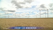 Mehrere Windräder auf einem gelben Feld. © Screenshot 