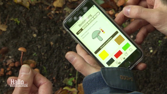 Ein Hand vor Waldboden zeigt eine Pilz-APP. © Screenshot 