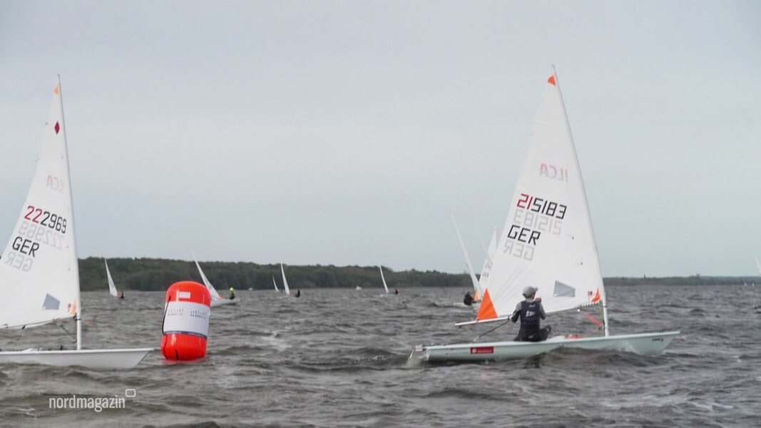 Rund 500 Sportler bei Segelregatta auf dem Schweriner See