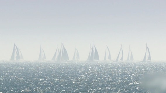 Segelboote sind am Horizont zu sehen. © Screenshot 