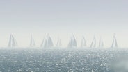 Segelboote sind am Horizont zu sehen. © Screenshot 