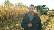 Reporter Stefan Tinius-Weidig berichtet auf dem Maisfeld. © Screenshot 