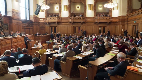 Sitzung der Bürgerschaft im Hamburger Rathaus. © Screenshot 