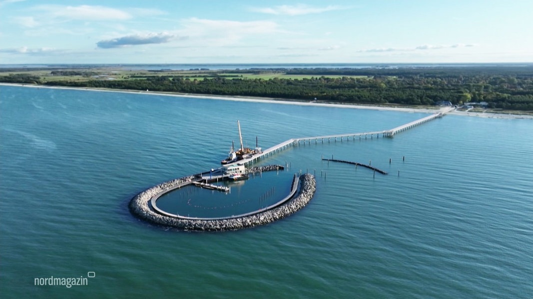 Seebrücke eröffnet: Prerow hat ein neues Wahrzeichen