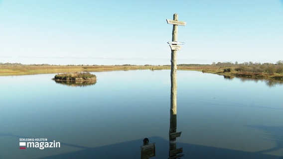 Geltinger Birk: Ein ruhiges Gewässer, ein Wegweiser im Wasser, Marschland. © Screenshot 