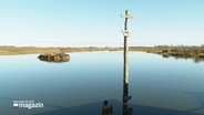 Geltinger Birk: Ein ruhiges Gewässer, ein Wegweiser im Wasser, Marschland. © Screenshot 