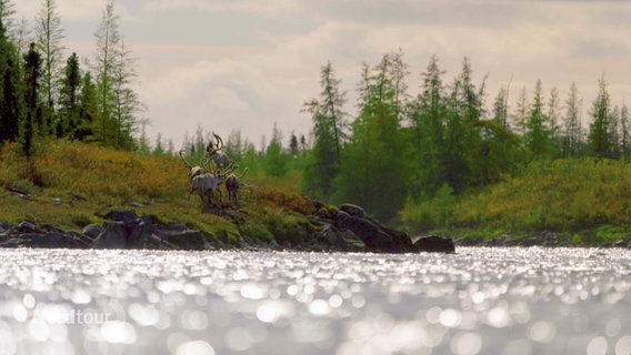 Naturaufnahmen aus Kanada. © Screenshot 