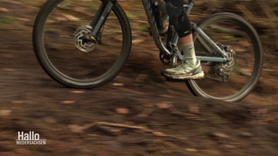 Ein Mountainbike-Fahrer im Wald. © Screenshot 