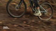 Ein Mountainbike-Fahrer im Wald. © Screenshot 