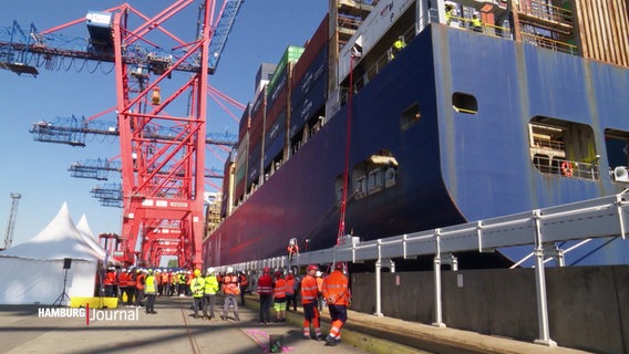 Ein Containerschiff an einer Landstromanlage. © Screenshot 